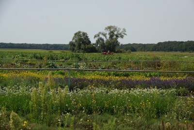 Ferme de l'envol 