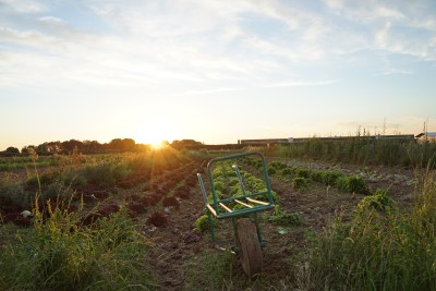 Ferme de l'envol 