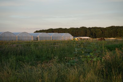 Ferme de l'envol 